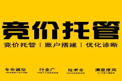 百度推广实战攻略：案例与策略